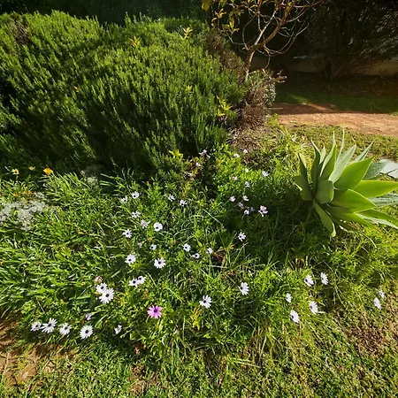 Buzios Da Rocha بورتيماو