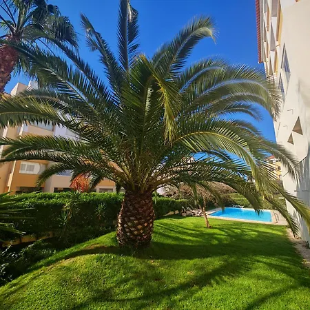 Buzios Da Rocha Portimão