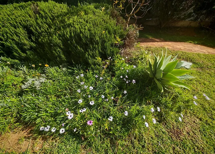 Buzios Da Rocha Portimão