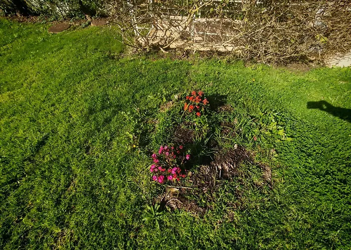 Buzios Da Rocha Apartament *