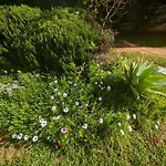 Buzios Da Rocha פורטימאו